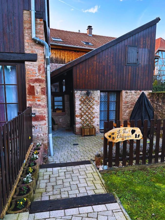 Le Petit Chataignier - Cozy Immo Châtenois Zewnętrze zdjęcie